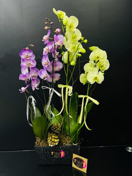 Şahane 4 Dallı Rengarenk Orkideler